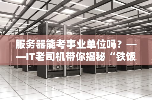 服务器能考事业单位吗？——IT老司机带你揭秘“铁饭碗”的另类打开方式
