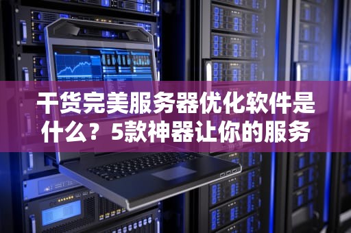 干货完美服务器优化软件是什么？5款神器让你的服务器飞起来！