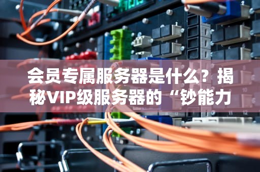 会员专属服务器是什么？揭秘VIP级服务器的“钞能力”与硬核实力！