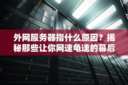 外网服务器指什么原因？揭秘那些让你网速龟速的幕后黑手！