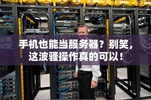 手机也能当服务器？别笑，这波骚操作真的可以！