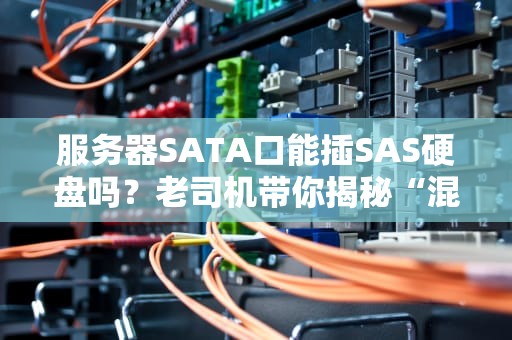 服务器SATA口能插SAS硬盘吗？老司机带你揭秘“混插”真相！