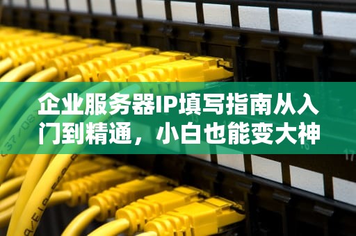企业服务器IP填写指南从入门到精通，小白也能变大神！