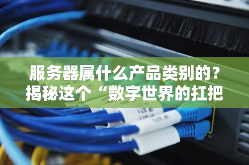 服务器属什么产品类别的？揭秘这个“数字世界的扛把子”的真实身份！