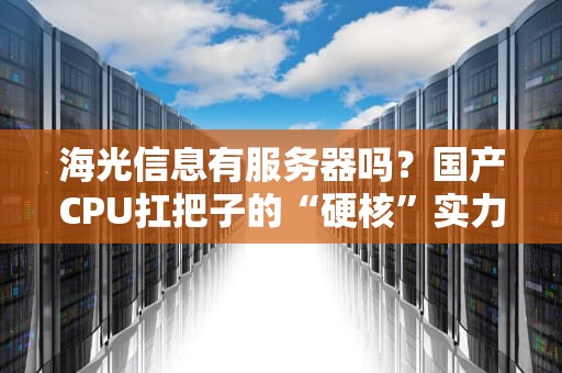 海光信息有服务器吗？国产CPU扛把子的“硬核”实力大揭秘！