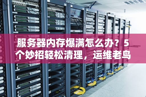 服务器内存爆满怎么办？5个妙招轻松清理，运维老鸟都在用！