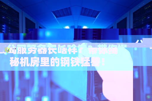 公司服务器长啥样？带你揭秘机房里的钢铁猛兽！