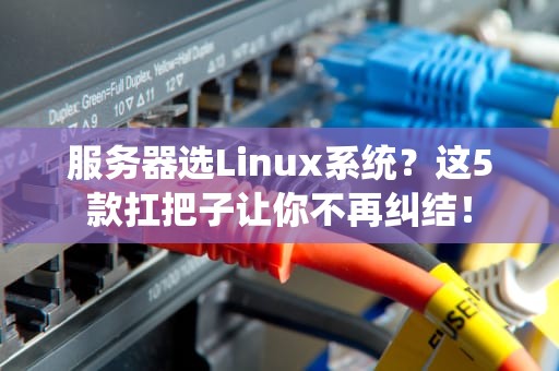 服务器选Linux系统？这5款扛把子让你不再纠结！