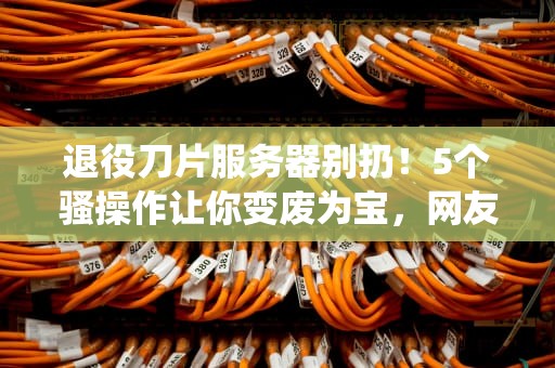 退役刀片服务器别扔！5个骚操作让你变废为宝，网友直呼内行！