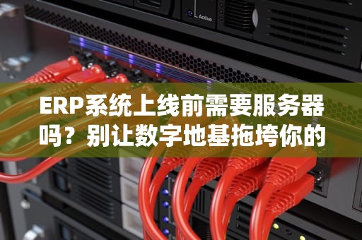ERP系统上线前需要服务器吗？别让数字地基拖垮你的企业！