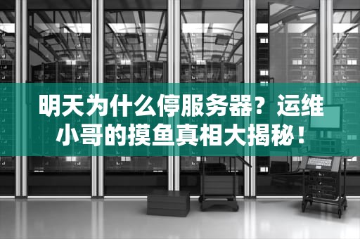 明天为什么停服务器？运维小哥的摸鱼真相大揭秘！