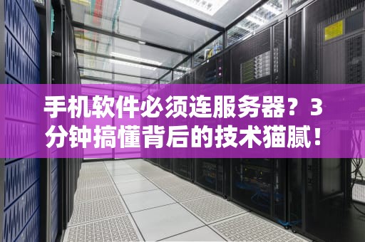 手机软件必须连服务器？3分钟搞懂背后的技术猫腻！