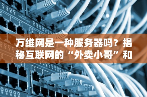 万维网是一种服务器吗？揭秘互联网的“外卖小哥”和“后厨”关系！