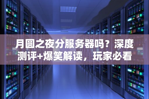月圆之夜分服务器吗？深度测评+爆笑解读，玩家必看！