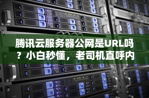 腾讯云服务器公网是URL吗？小白秒懂，老司机直呼内行！