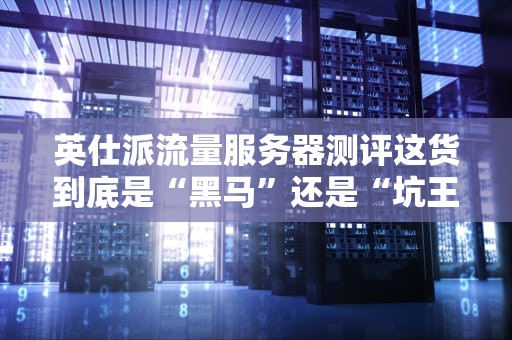 英仕派流量服务器测评这货到底是“黑马”还是“坑王”？