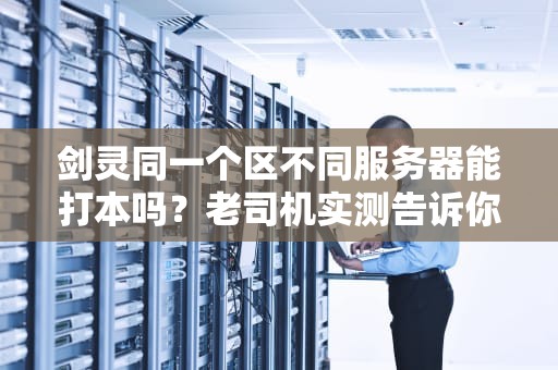 剑灵同一个区不同服务器能打本吗？老司机实测告诉你真相！