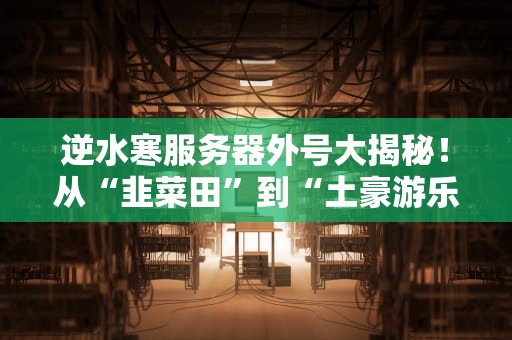 逆水寒服务器外号大揭秘！从“韭菜田”到“土豪游乐场”，这些黑话你懂几个？