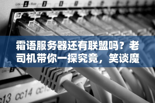 霜语服务器还有联盟吗？老司机带你一探究竟，笑谈魔兽怀旧服的那些事儿！