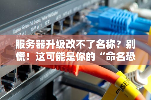 服务器升级改不了名称？别慌！这可能是你的“命名恐惧症”犯了
