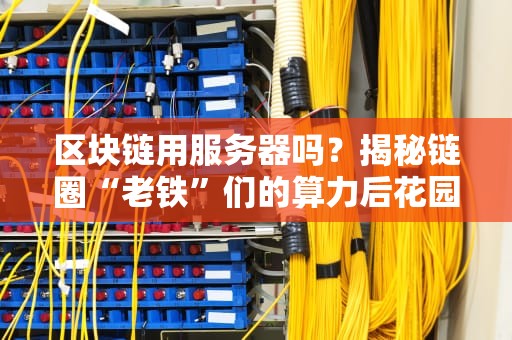 区块链用服务器吗？揭秘链圈“老铁”们的算力后花园！