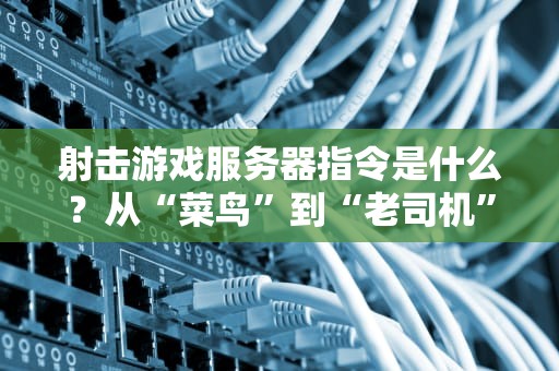 射击游戏服务器指令是什么？从“菜鸟”到“老司机”的终极指令手册！