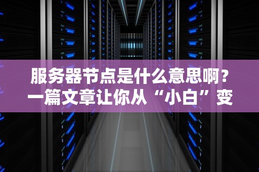 服务器节点是什么意思啊？一篇文章让你从“小白”变“大神”！（附超实用案例）