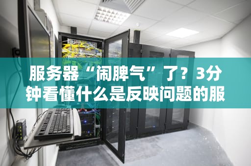 服务器“闹脾气”了？3分钟看懂什么是反映问题的服务器！