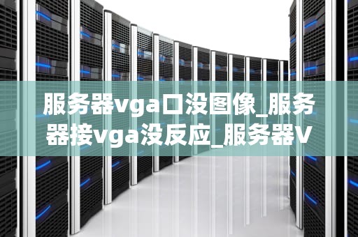服务器vga口没图像_服务器接vga没反应_服务器VGA口无图像问题的诊断与解决