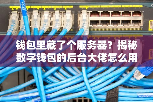 钱包里藏了个服务器？揭秘数字钱包的后台大佬怎么用！