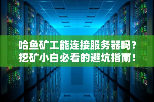 哈鱼矿工能连接服务器吗？挖矿小白必看的避坑指南！