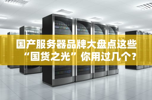 国产服务器品牌大盘点这些“国货之光”你用过几个？