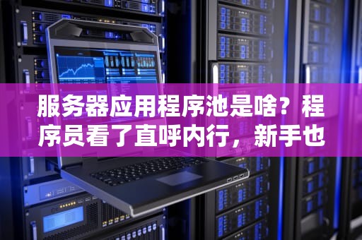 服务器应用程序池是啥？程序员看了直呼内行，新手也能秒懂！