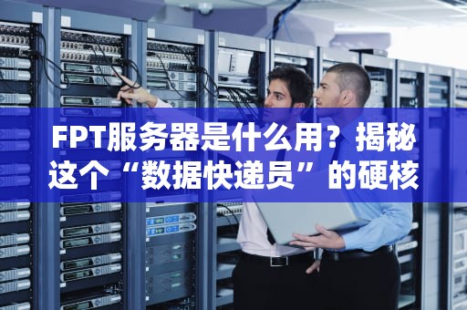 FPT服务器是什么用？揭秘这个“数据快递员”的硬核技能！