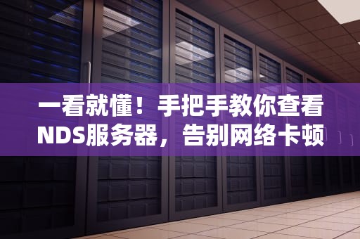 一看就懂！手把手教你查看NDS服务器，告别网络卡顿烦恼