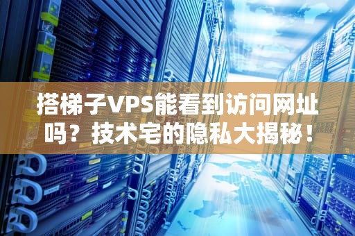 搭梯子VPS能看到访问网址吗？技术宅的隐私大揭秘！