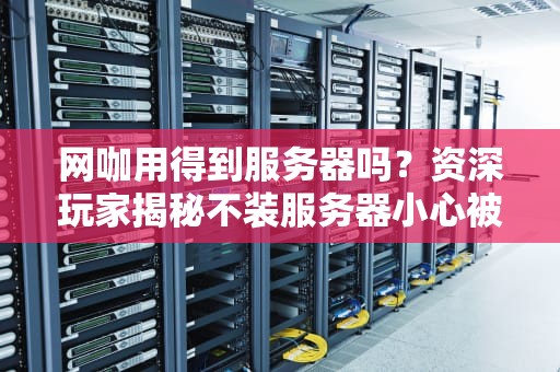 网咖用得到服务器吗？资深玩家揭秘不装服务器小心被队友喷成筛子！