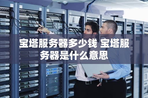 宝塔服务器多少钱 宝塔服务器是什么意思