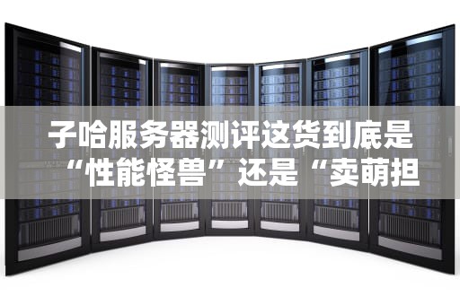子哈服务器测评这货到底是“性能怪兽”还是“卖萌担当”？