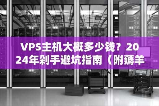 VPS主机大概多少钱？2024年剁手避坑指南（附薅羊毛攻略）