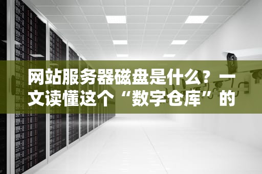 网站服务器磁盘是什么？一文读懂这个“数字仓库”的奥秘！