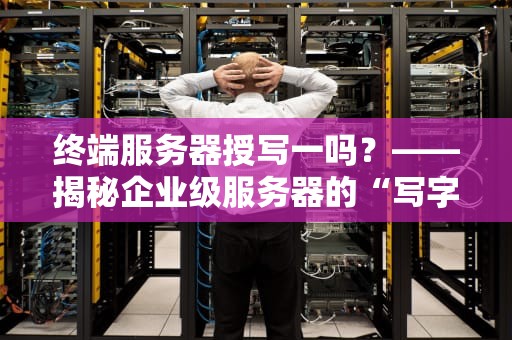 终端服务器授写一吗？——揭秘企业级服务器的“写字”能力