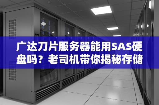 广达刀片服务器能用SAS硬盘吗？老司机带你揭秘存储界的劳斯莱斯