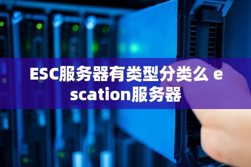 ESC服务器有类型分类么 escation服务器