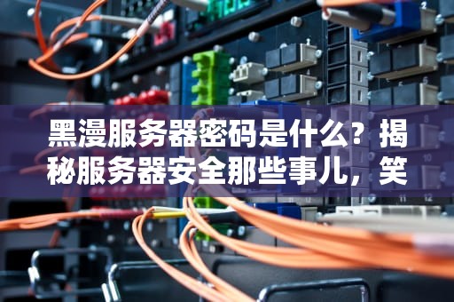 黑漫服务器密码是什么？揭秘服务器安全那些事儿，笑出腹肌的硬核科普！