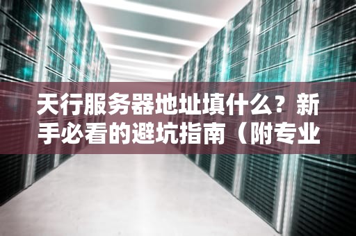 天行服务器地址填什么？新手必看的避坑指南（附专业测评）