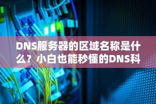 DNS服务器的区域名称是什么？小白也能秒懂的DNS科普指南！