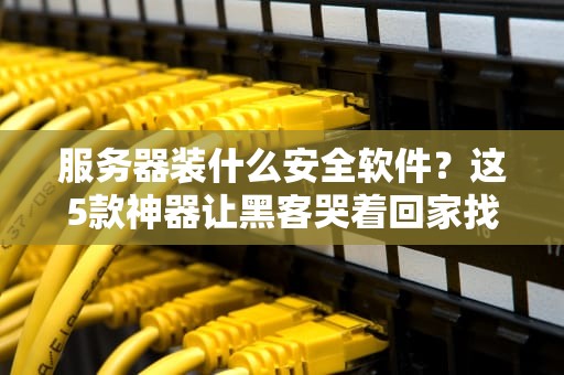 服务器装什么安全软件？这5款神器让黑客哭着回家找妈妈！