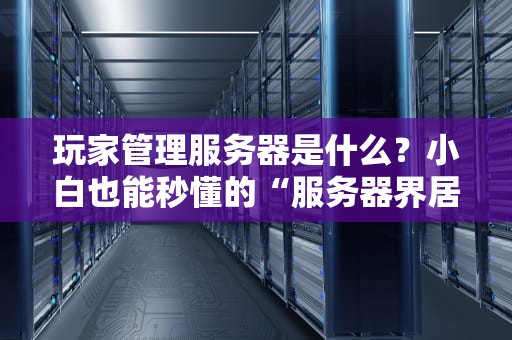 玩家管理服务器是什么？小白也能秒懂的“服务器界居委会”指南！