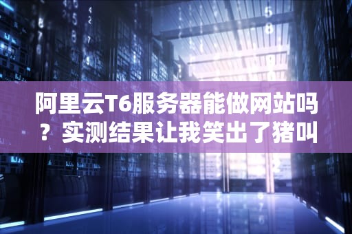 阿里云T6服务器能做网站吗？实测结果让我笑出了猪叫！